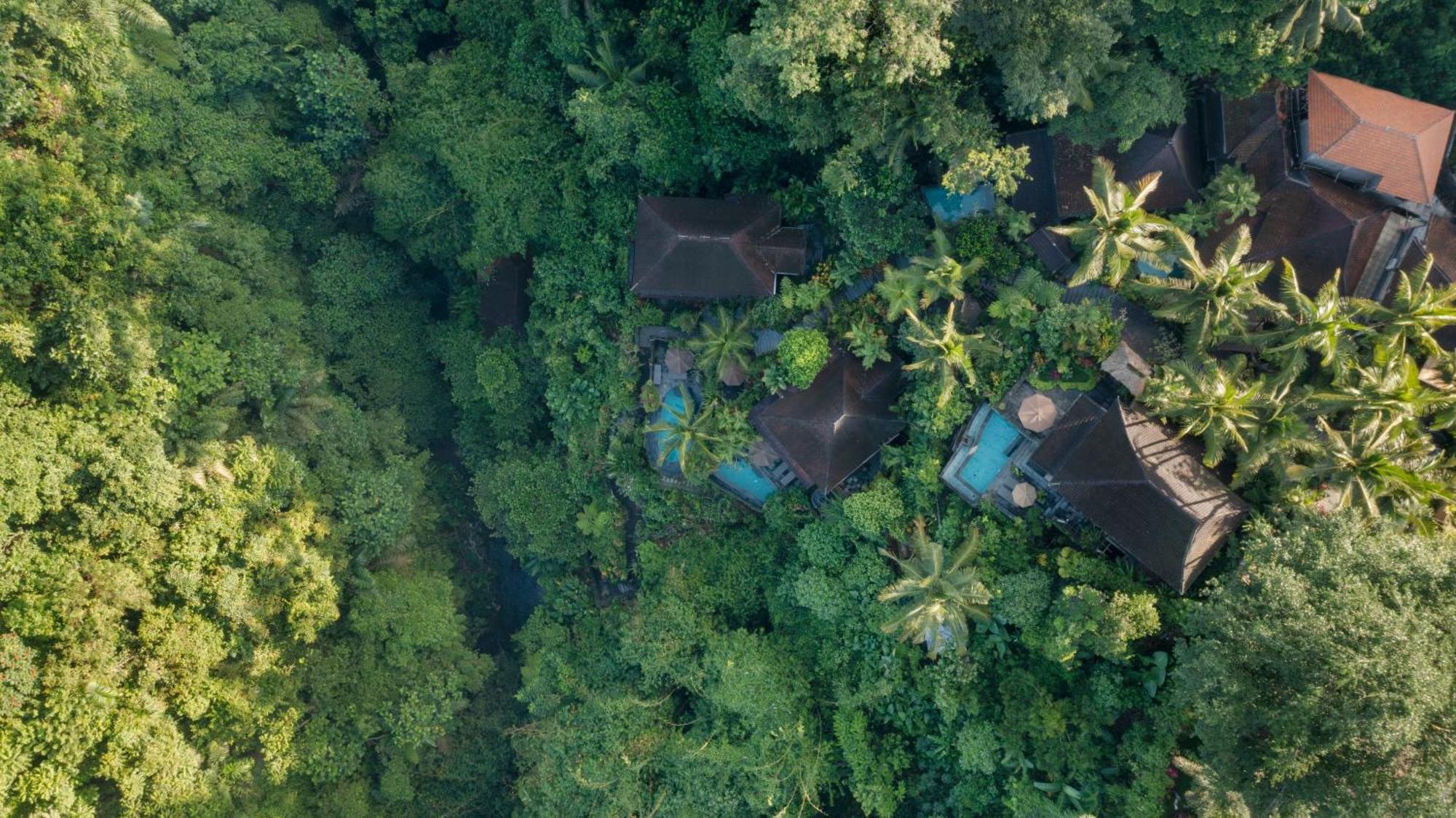 Bidadari Private Villas & Retreat Ubud  Bagian luar foto